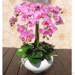 假花批發(fā)供應(yīng)與價格指南 源頭采購與機(jī)械設(shè)備應(yīng)用